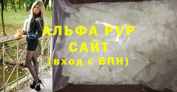 СК Туринск