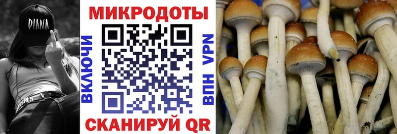 Псилоцибиновые грибы MAGIC MUSHROOMS  Верхний Тагил 